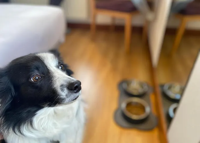 Hotel Oria Tolosa (Basque Country)