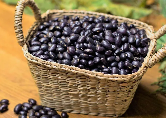 Hotel Oria Tolosa (Basque Country)