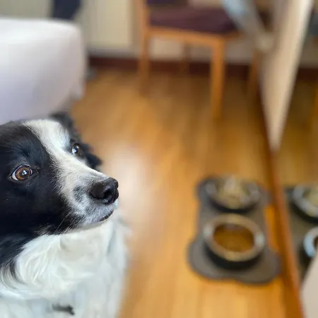 Hotel Oria Tolosa (Basque Country)