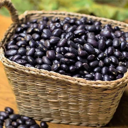 Hotel Oria Tolosa (Basque Country)